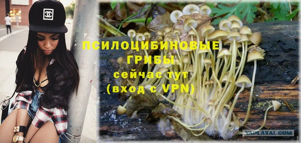 соль курить ск Верхний Тагил