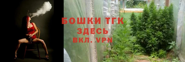 ГАЛЛЮЦИНОГЕННЫЕ ГРИБЫ Верея
