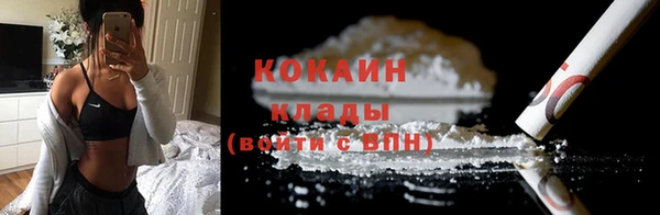 ГАЛЛЮЦИНОГЕННЫЕ ГРИБЫ Верея