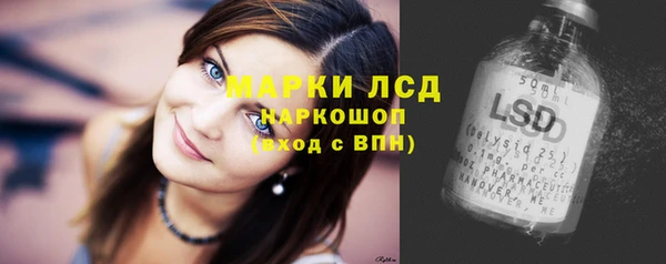 ГАЛЛЮЦИНОГЕННЫЕ ГРИБЫ Верея