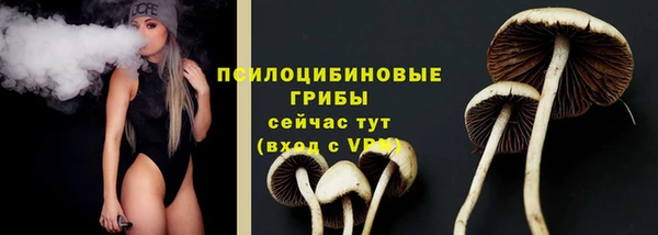 ГАЛЛЮЦИНОГЕННЫЕ ГРИБЫ Верея