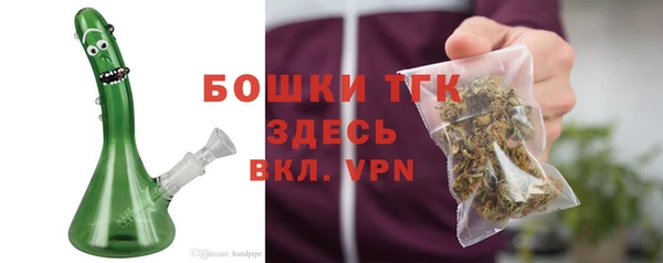 ГАЛЛЮЦИНОГЕННЫЕ ГРИБЫ Верея