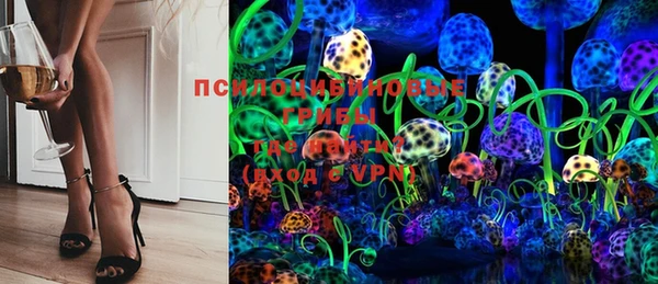 ГАЛЛЮЦИНОГЕННЫЕ ГРИБЫ Верея