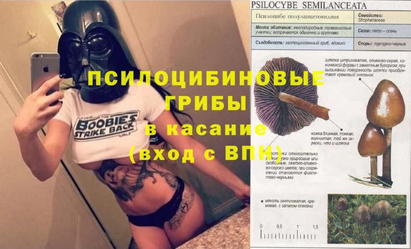 соль курить ск Верхний Тагил