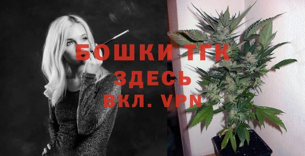 ГАЛЛЮЦИНОГЕННЫЕ ГРИБЫ Верея