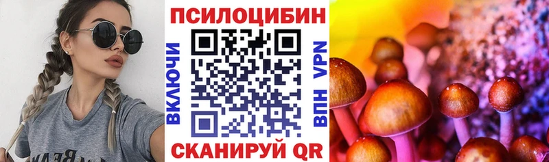 где найти   Норильск  mega ТОР  Галлюциногенные грибы MAGIC MUSHROOMS 